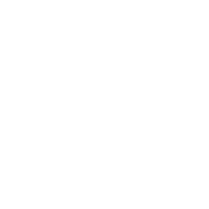 White telephone icon